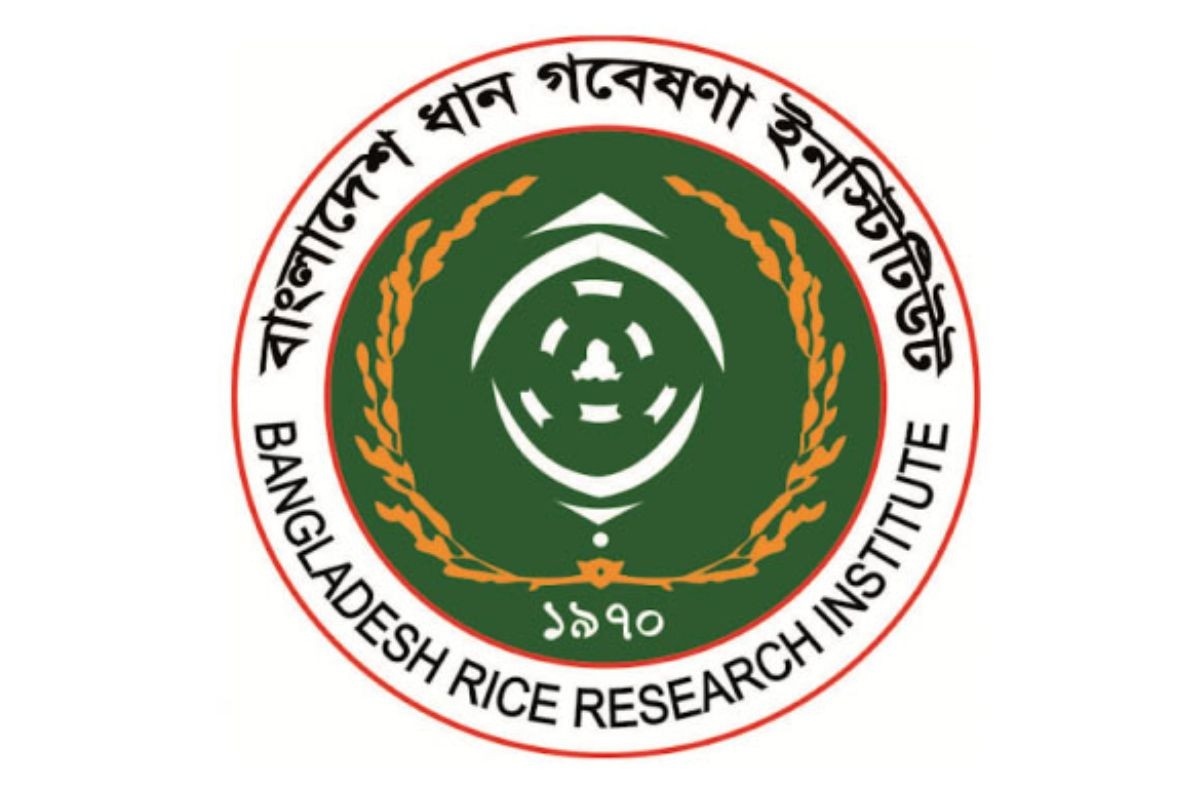 ধান গবেষণা ইনস্টিটিউটে চাকরির সুযোগ
