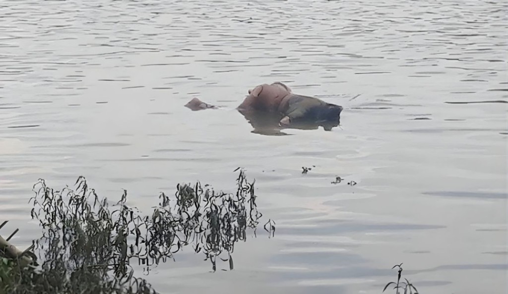 নওগাঁয় খাল থেকে অর্ধগলিত অজ্ঞাত লাশ উদ্ধার 4 নওগাঁয় খাল থেকে অর্ধগলিত অজ্ঞাত লাশ উদ্ধার 1761119529 নওগাঁয় খাল থেকে অর্ধগলিত অজ্ঞাত লাশ উদ্ধার
