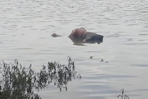 নওগাঁয় খাল থেকে অর্ধগলিত অজ্ঞাত লাশ উদ্ধার