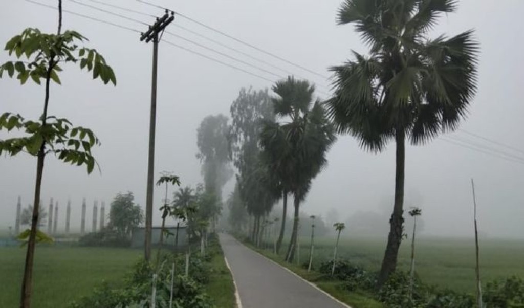 নওগাঁয় শরতের সকালে কুয়াশার চাদর 4 নওগাঁয় শরতের সকালে কুয়াশার চাদর 1759900080 নওগাঁয় শরতের সকালে কুয়াশার চাদর