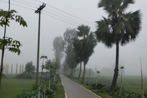 নওগাঁয় শরতের সকালে কুয়াশার চাদর