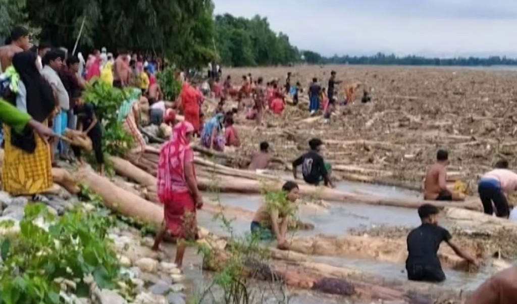 ‘ভারত থেকে’ ভেসে বাংলাদেশে আসছে হাজারো গাছের গুঁড়ি 3 নদীর স্রোতে ভেসে বাংলাদেশে আসছে হাজারো গাছের গুঁড়ি 1759807085 ‘ভারত থেকে’ ভেসে বাংলাদেশে আসছে হাজারো গাছের গুঁড়ি