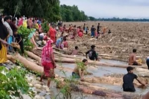 ‘ভারত থেকে’ ভেসে বাংলাদেশে আসছে হাজারো গাছের গুঁড়ি