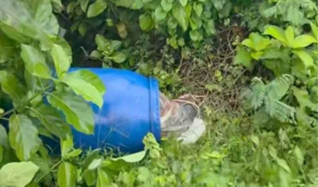 নারায়ণগঞ্জে ড্রামের ভেতর অজ্ঞাত ব্যক্তির মরদেহ 4 নারায়ণগঞ্জে ড্রামের ভেতর অজ্ঞাত ব্যক্তির মরদেহ 1759846490 নারায়ণগঞ্জে ড্রামের ভেতর অজ্ঞাত ব্যক্তির মরদেহ
