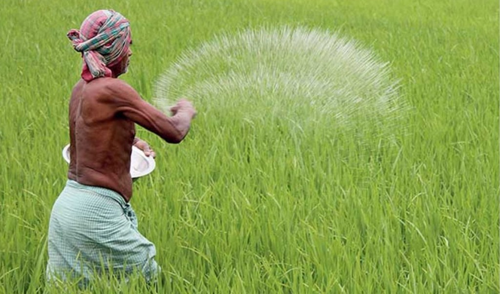 নির্ধারিত দামে মিলছে না সার, বিপাকে কৃষক 4 নির্ধারিত দামে মিলছে না সার বিপাকে কৃষক 1761126415 নির্ধারিত দামে মিলছে না সার, বিপাকে কৃষক