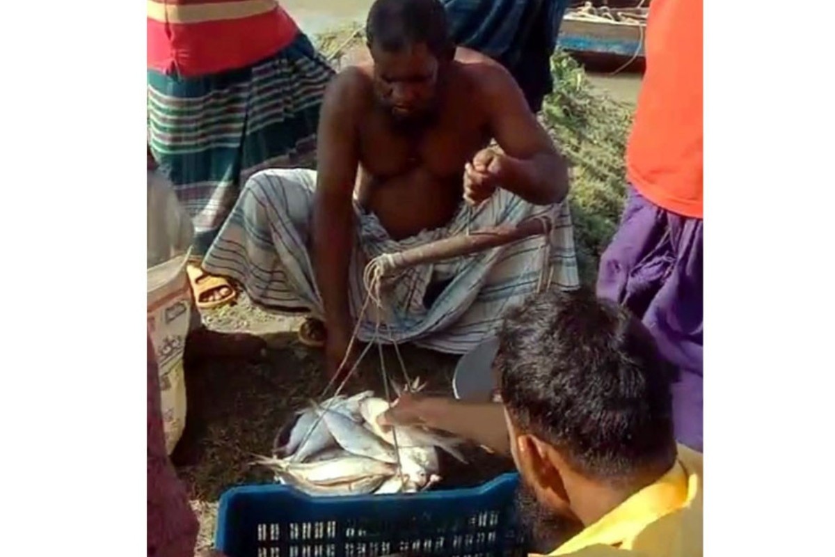 নিষেধাজ্ঞা উপেক্ষা করে চলছে অবৈধ ইলিশের হাট