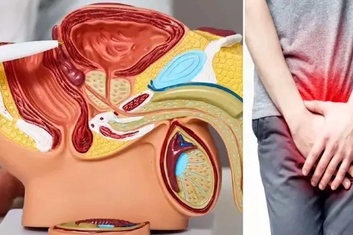 নীরব ঘাতক প্রোস্টেট ক্যানসার নিয়ে সতর্কতা