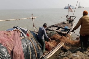 পদ্মায় প্রকাশ্যে ইলিশ শিকার, মিলছে হোম ডেলিভারিতে
