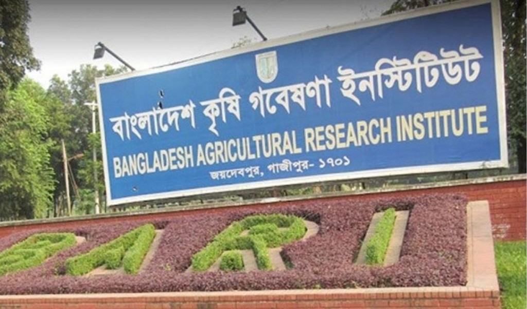 পরীক্ষা না দিয়েই সরকারি চাকরি পেয়েছেন ৪২ জন 4 পরীক্ষা না দিয়েই সরকারি চাকরি পেয়েছেন ৪২ জন 1761650028 পরীক্ষা না দিয়েই সরকারি চাকরি পেয়েছেন ৪২ জন