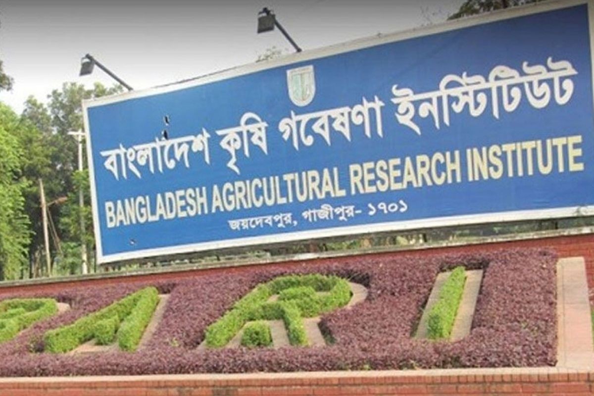 পরীক্ষা না দিয়েই সরকারি চাকরি পেয়েছেন ৪২ জন