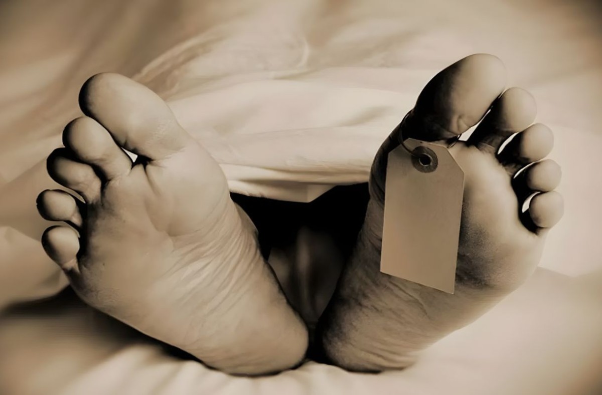 পিকআপের ধাক্কায় প্রাণ গেলো পথচারীর, চালক আটক