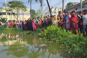 পুকুরপাড় থেকে নারী গ্রাম পুলিশের মরদেহ উদ্ধার