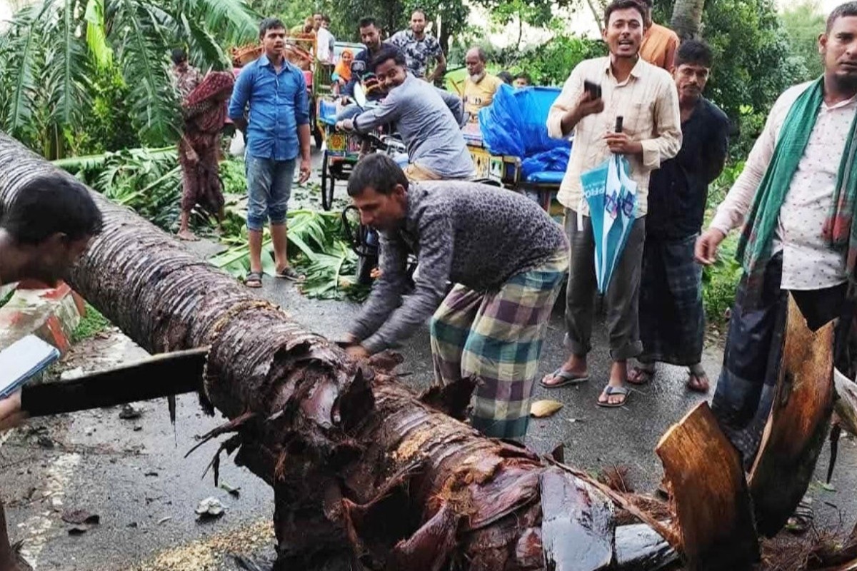 প্রবল ঝড়ে লণ্ডভণ্ড নওগাঁ, বিদ্যুৎ বিচ্ছিন্ন কয়েকটি গ্রাম