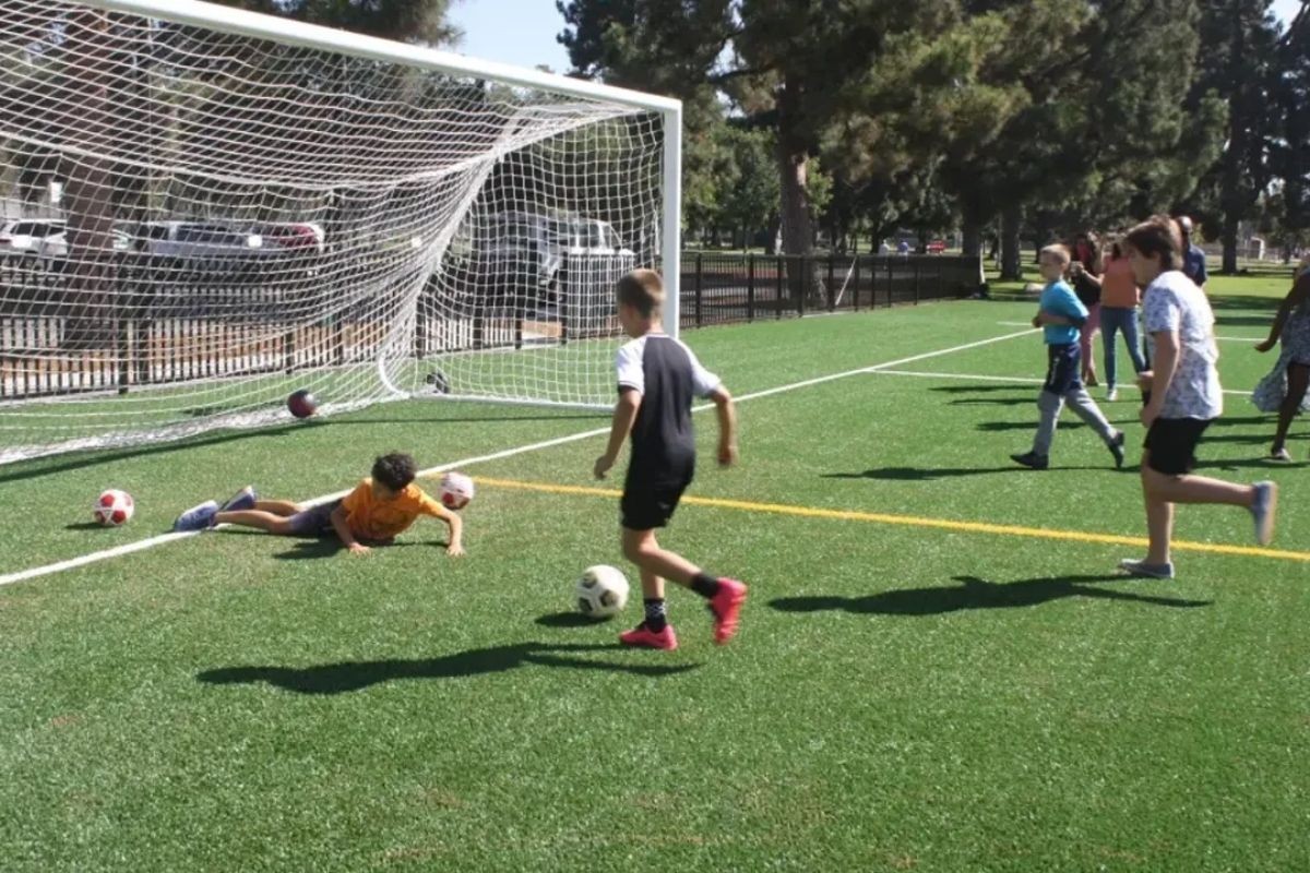 ফুটবল মাঠে বিমান বিধ্বস্ত