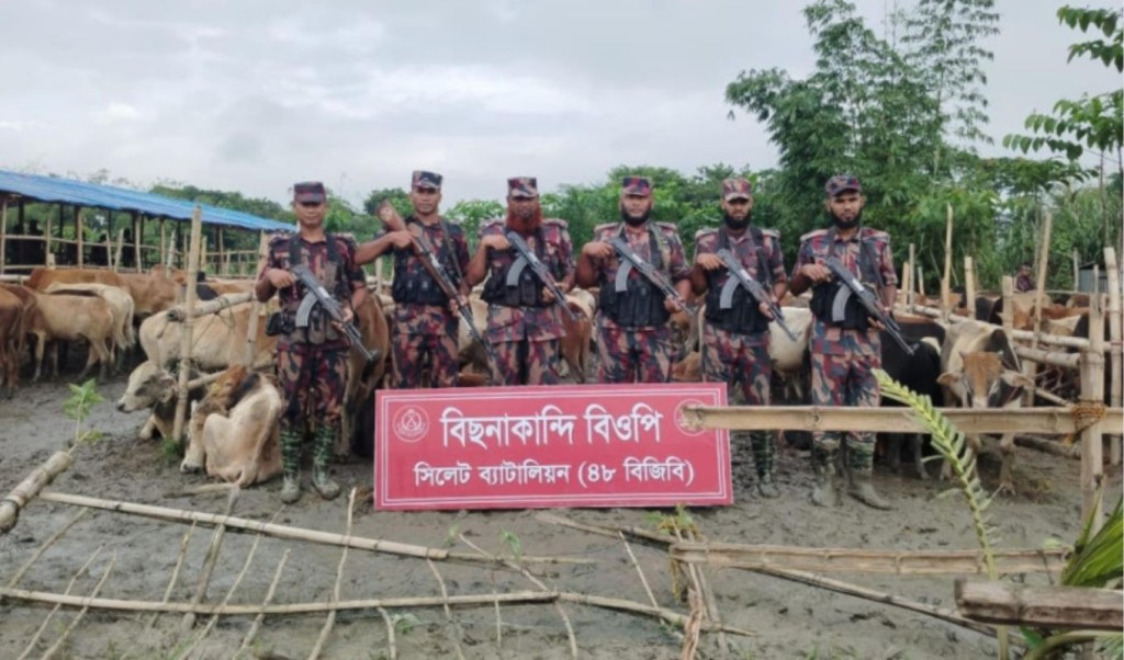 বিজিবির হাতে ধরা পড়ল ভারতীয় গরু-মহিষের সবচেয়ে বড় চালান 3 বিজিবির হাতে ধরা পড়ল ভারতীয় গরু মহিষের সবচেয়ে বড় চালান 1759926746 বিজিবির হাতে ধরা পড়ল ভারতীয় গরু-মহিষের সবচেয়ে বড় চালান