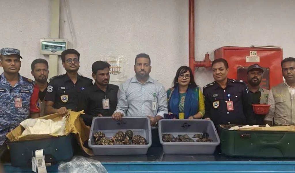 বিদেশে পাচারকালে শাহজালালে ৯২৫ কচ্ছপ উদ্ধার 4 বিদেশে পাচারকালে শাহজালালে ৯২৫ কচ্ছপ উদ্ধার 1759288741 বিদেশে পাচারকালে শাহজালালে ৯২৫ কচ্ছপ উদ্ধার