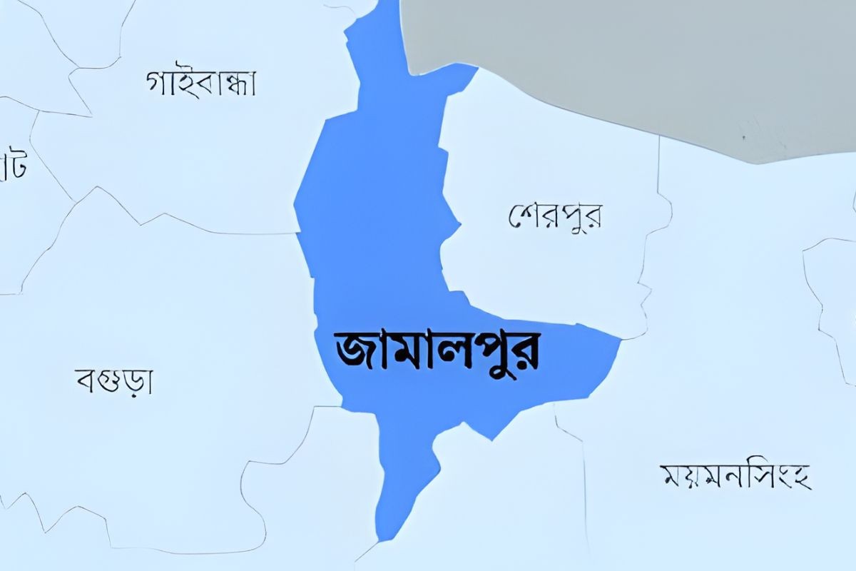 ভাইয়ের বিয়েতে বরযাত্রী হতে না পেরে বোনের কাণ্ড