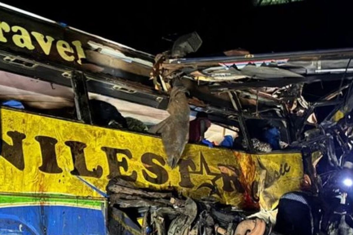 মহাসড়কে একসঙ্গে চার গাড়ি দুর্ঘটনায়, নিহত অন্তত ৪৬