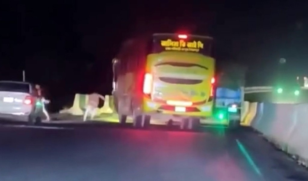 মহাসড়কে ডাকাতির ভাইরাল সেই ভিডিও নিয়ে যা বললো পুলিশ 3 মহাসড়কে ডাকাতির ভাইরাল সেই ভিডিও নিয়ে যা বললো পুলিশ 1759565881 মহাসড়কে ডাকাতির ভাইরাল সেই ভিডিও নিয়ে যা বললো পুলিশ