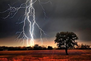 মাছ ধরতে গিয়ে বজ্রপাতে প্রাণ গেলো দিনমজুরের