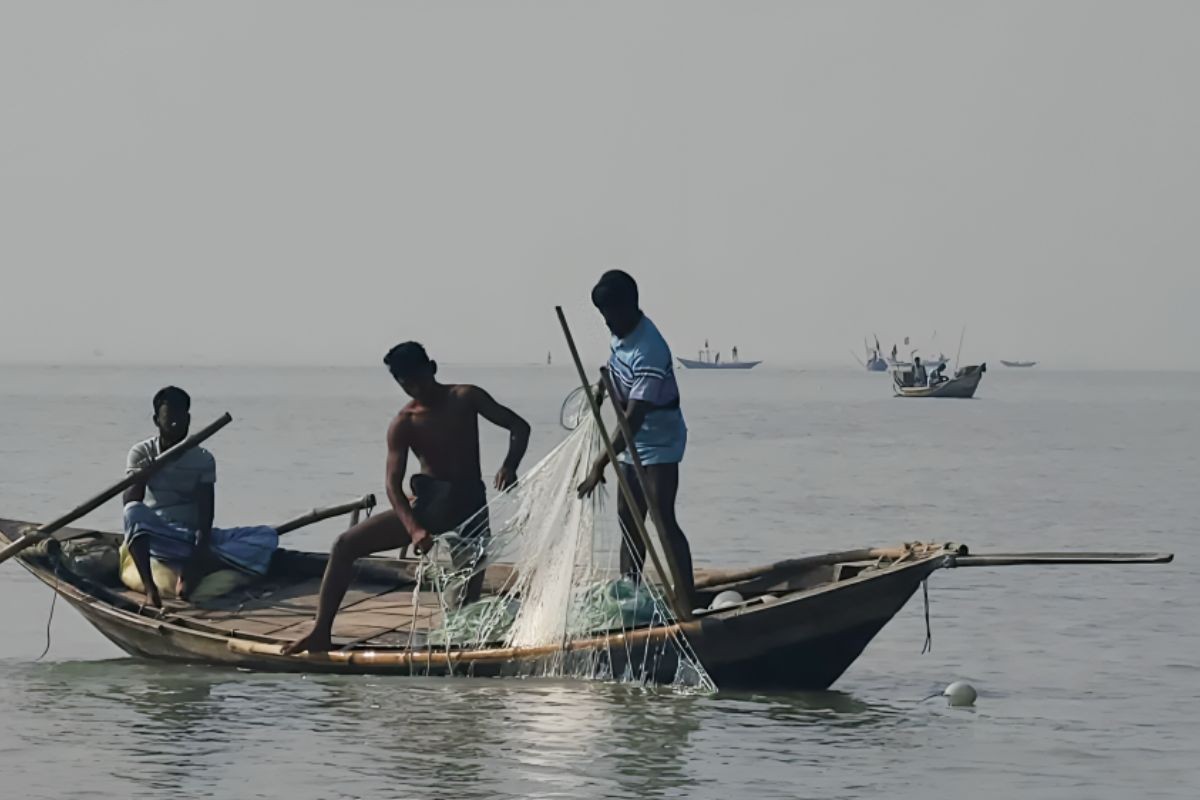 মেঘনায় ২২ দিন মাছ শিকার নিষিদ্ধ ঘোষণা