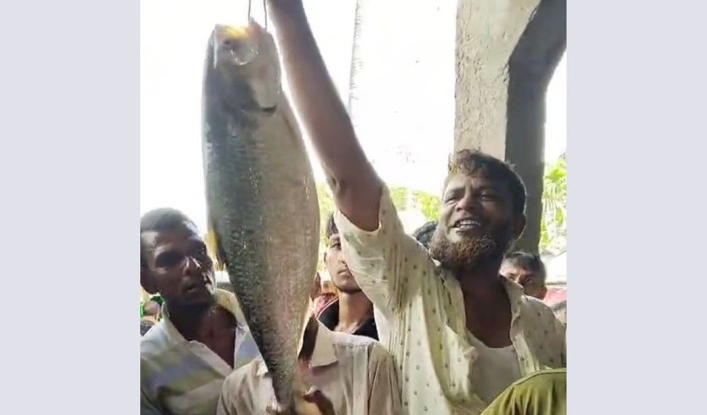 মেঘনার এক ইলিশ ১০ হাজার টাকায় বিক্রি 3 মেঘনার এক ইলিশ ১০ হাজার টাকায় বিক্রি 1759504619 মেঘনার এক ইলিশ ১০ হাজার টাকায় বিক্রি