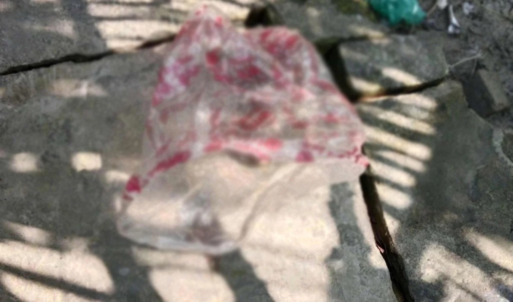 মোংলায় খাল থেকে নবজাতকের মরদেহ উদ্ধার 3 মোংলায় খাল থেকে নবজাতকের মরদেহ উদ্ধার 1760701949 মোংলায় খাল থেকে নবজাতকের মরদেহ উদ্ধার