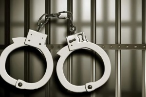 রাজধানীতে বিশেষ অভিযানে গ্রেপ্তার ১৪