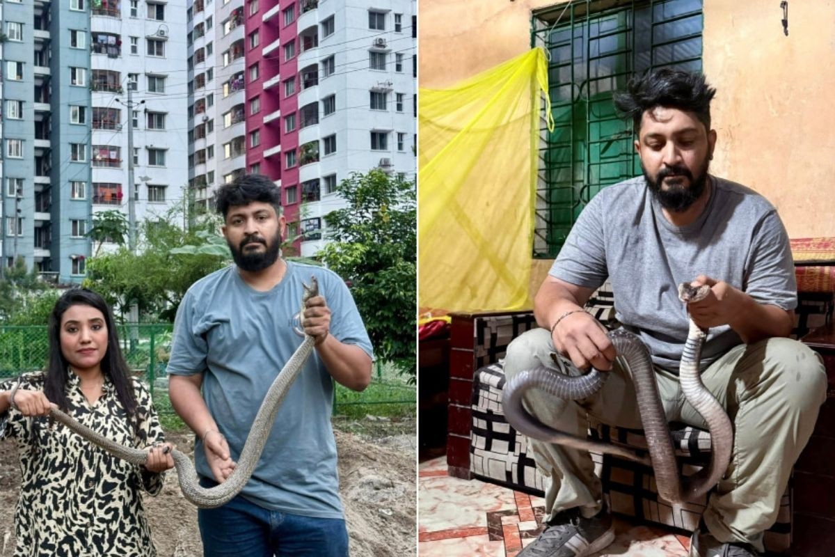 রাজধানীর বাসাবাড়ি থেকে সাড়ে ৩ মাসে ৩২১ সাপ উদ্ধার