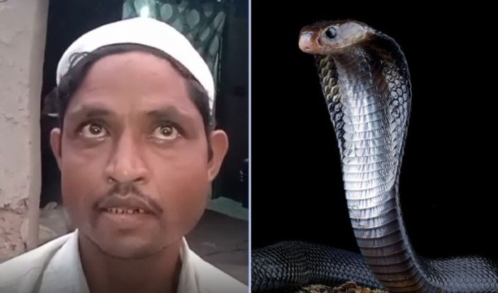 রাতে সাপ হয়ে কামড়াতে যান স্ত্রী, প্রশাসনের কাছে স্বামীর অভিযোগ 4 রাতে সাপ হয়ে কামড়াতে যান স্ত্রী প্রশাসনের কাছে স্বামীর অভিযোগ 1759832884 রাতে সাপ হয়ে কামড়াতে যান স্ত্রী, প্রশাসনের কাছে স্বামীর অভিযোগ