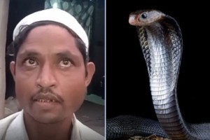 রাতে সাপ হয়ে কামড়াতে যান স্ত্রী, প্রশাসনের কাছে স্বামীর অভিযোগ