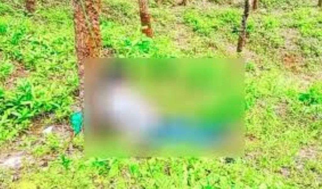 রাবার বাগান থেকে গলায় রশি পেঁচানো লাশ উদ্ধার 3 লাশ উদ্ধার 1759304178 রাবার বাগান থেকে গলায় রশি পেঁচানো লাশ উদ্ধার