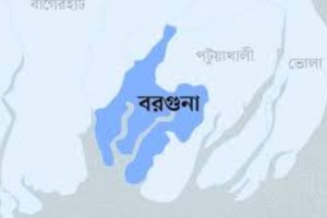 ধানক্ষেতে ইঁদুর মারার ফাঁদে শিশুর মৃত্যু