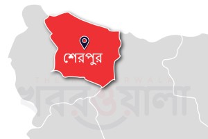 শেরপুরে জাল টাকার ছড়াছড়ি: পোস্ট অফিসের দুই কর্মচারী গ্রেপ্তার
