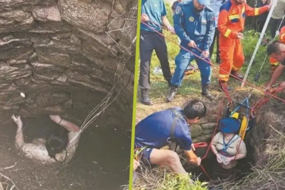 সাপ ও মশাভর্তি অন্ধকার কূপে ৫৪ ঘণ্টা দেয়াল ধরে ঝুলে রইলেন চীনা নারী