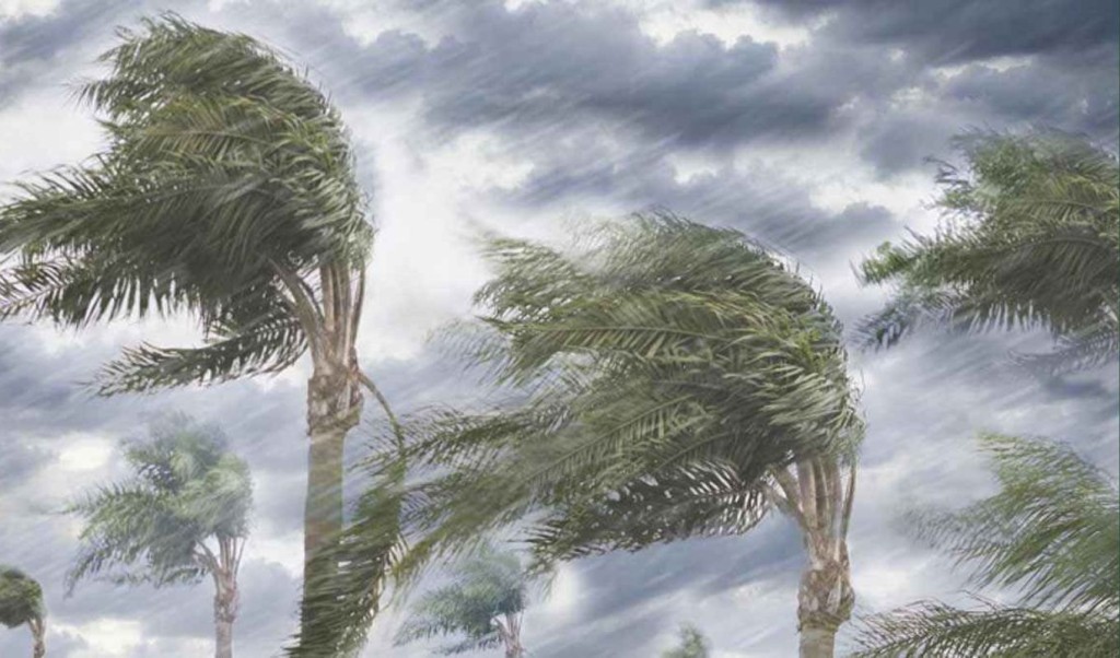১৭ জেলায় ঝড়ো হাওয়ার পূর্বাভাস, নদীবন্দরে সতর্কতা 2 ১৭ জেলায় ঝড়ো হাওয়ার পূর্বাভাস নদীবন্দরে সতর্কতা 1759590378 ১৭ জেলায় ঝড়ো হাওয়ার পূর্বাভাস, নদীবন্দরে সতর্কতা