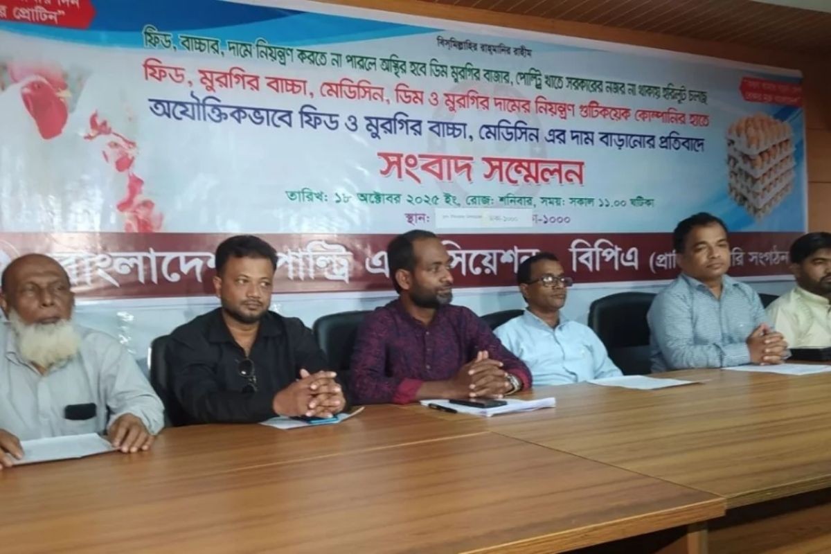 ৭ দফা দাবি না মানলে ১ নভেম্বর থেকে ডিম-মুরগি উৎপাদন বন্ধ: বিপিএ