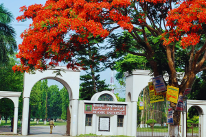 জুলাই আন্দোলনের বিরোধিতায় ইবির ১৯ শিক্ষক বরখাস্ত, ৩৩ শিক্ষার্থী বহিষ্কার