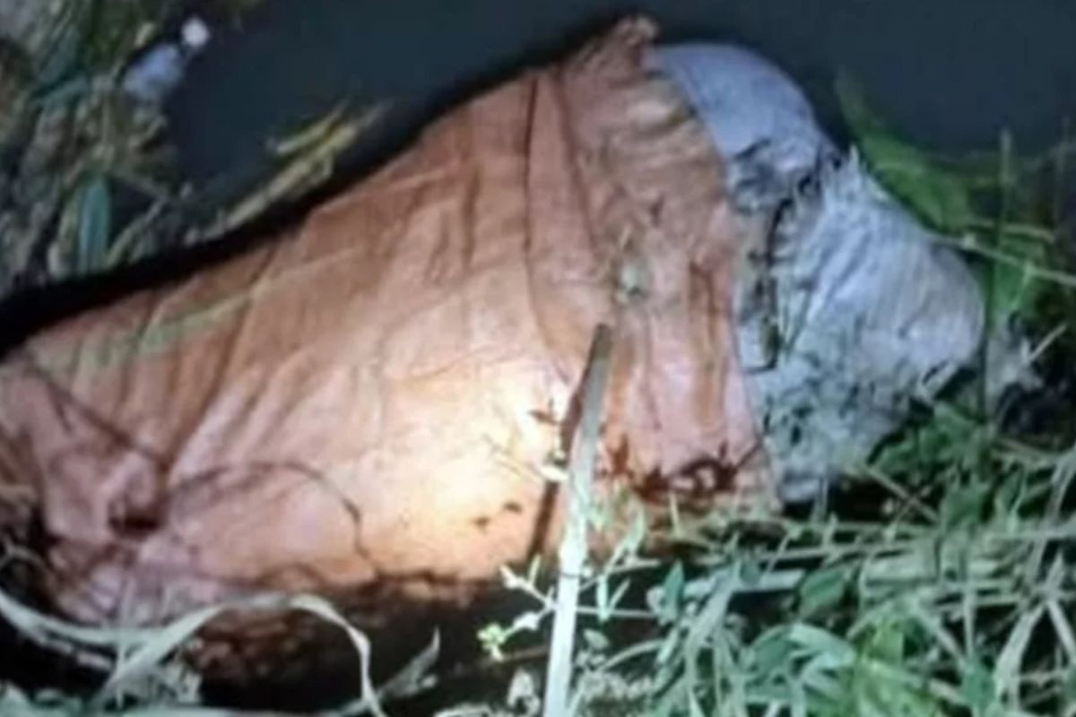 কক্সবাজারে বস্তায় রাখা নারীর অর্ধগলিত লাশ উদ্ধার