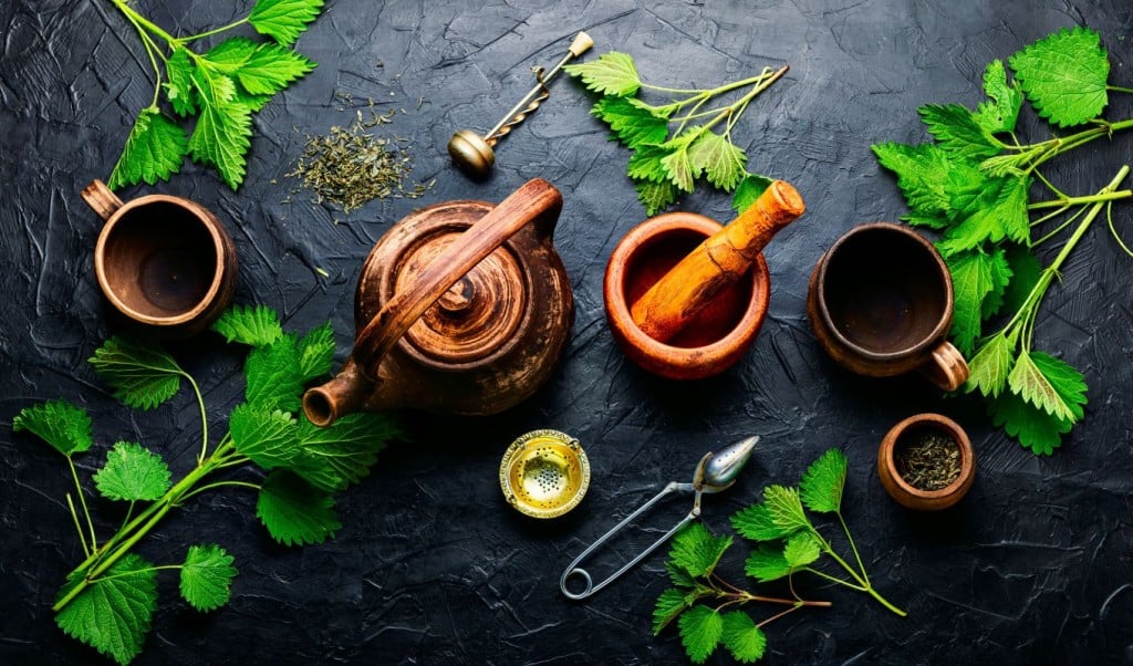 Herbal Teas Can Reduce Menstrual Pain 1763797690 পিরিয়ডের সময় পেটব্যথা কমাবে ভেষজ চা