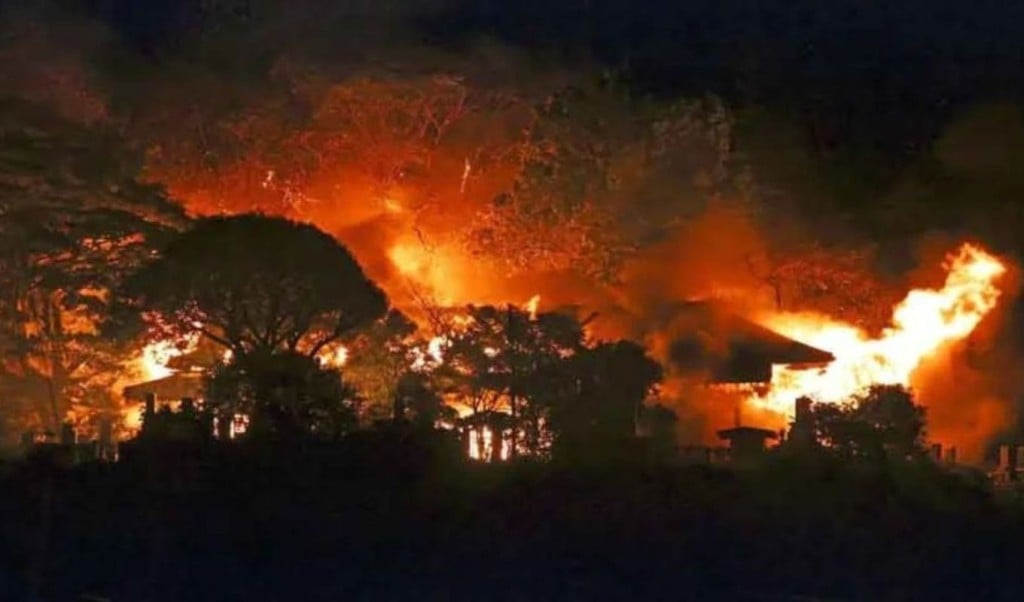 Over 170 Buildings Destroyed in Devastating Fire in Oita Japan 1763536780 জাপানের ওইতা শহরে ভয়াবহ অগ্নিকাণ্ডে পুড়ল ১৭০টিরও বেশি ভবন