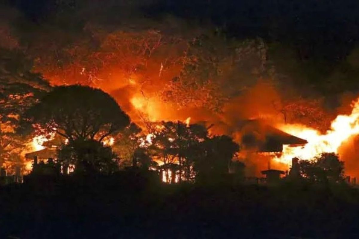জাপানের ওইতা শহরে ভয়াবহ অগ্নিকাণ্ডে পুড়ল ১৭০টিরও বেশি ভবন
