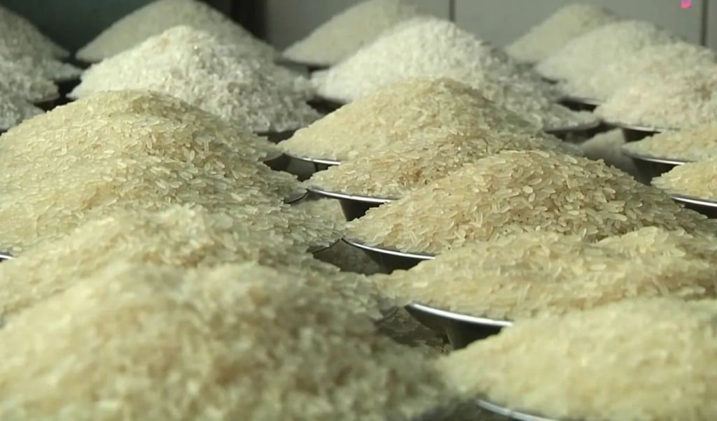 Rice prices falling in Asian markets 1763181030 এশিয়ার বাজারে কমছে চালের দাম