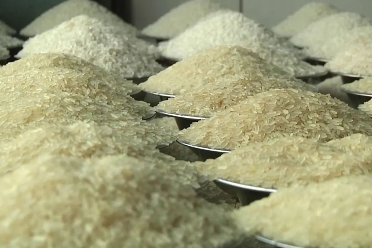 এশিয়ার বাজারে কমছে চালের দাম