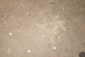 টঙ্গীতে সাউন্ড গ্রেনেড বিস্ফোরণ