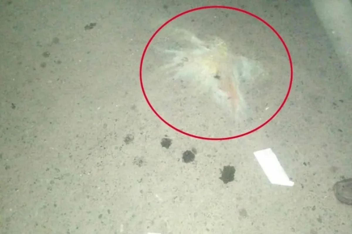 ঢাকার বিমানবন্দর এলাকায় পরপর দুটি ককটেল বিস্ফোরণ