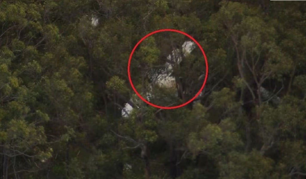 Two Light Aircraft Collide Over Sydney One Pilot Killed 1764488122 সিডনির আকাশে দুই হালকা বিমানের সংঘর্ষ, এক পাইলটের মৃত্যু