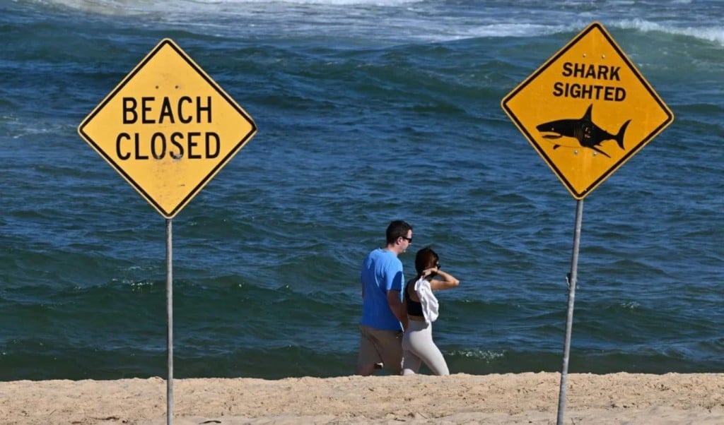 shark attak in australia 1764224988 অস্ট্রেলিয়ায় হাঙরের হামলায় তরুণীর মৃত্যু, গুরুতর আহত আরেকজন