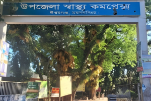 কুমিল্লায় অন্তঃসত্ত্বা স্ত্রীকে শ্বাসরোধে হত্যা, স্বামীর যাবজ্জীবন