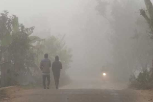 চুয়াডাঙ্গায় শীতের দাপট বাড়ছে, তাপমাত্রা নেমেছে ১৬ ডিগ্রিতে